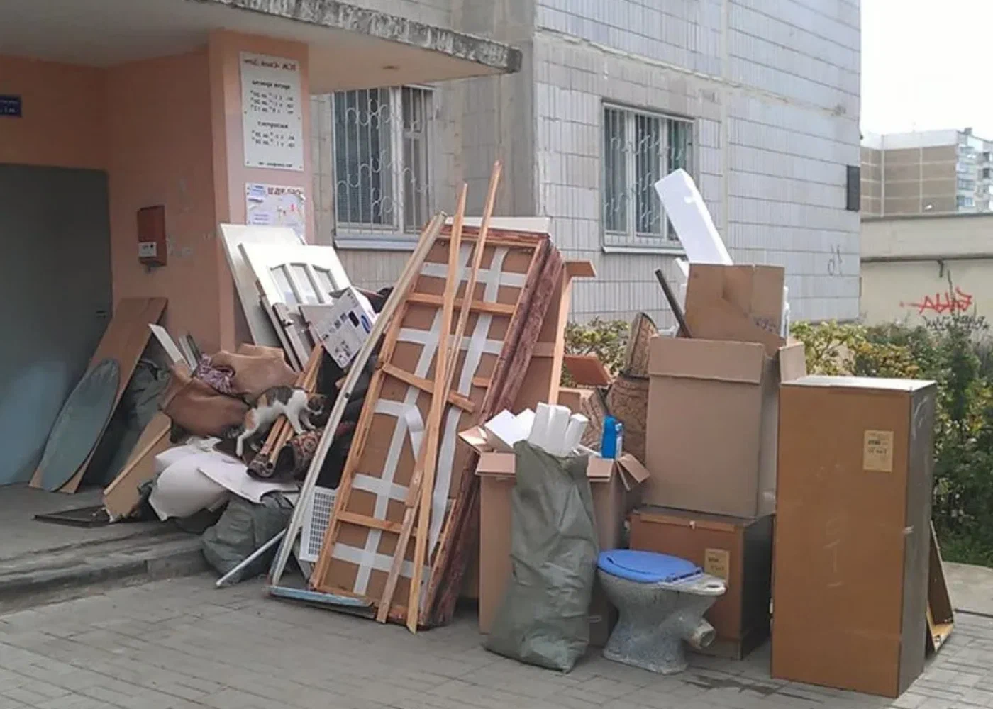 Профессиональный вывоз мусора из квартиры в Ульяновске в октябре