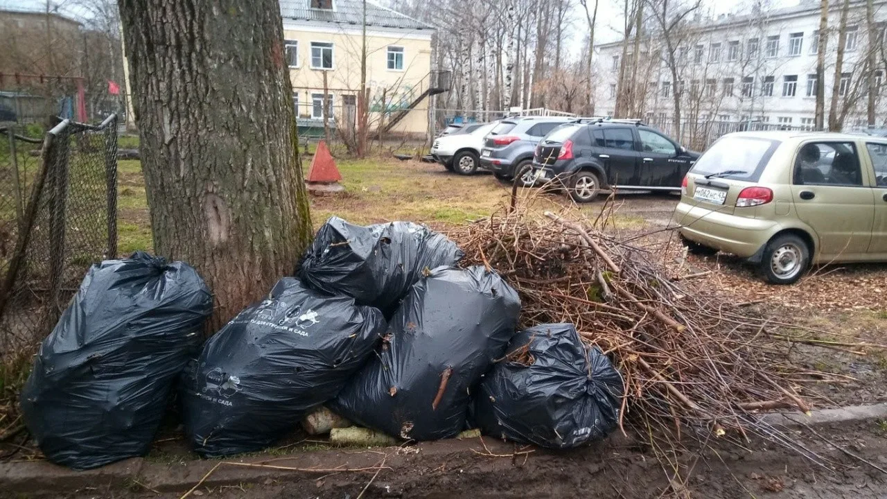 Вывоз мусора после субботника в Ульяновске от ПроМусор – уборка и утилизация отходов от 2417 руб