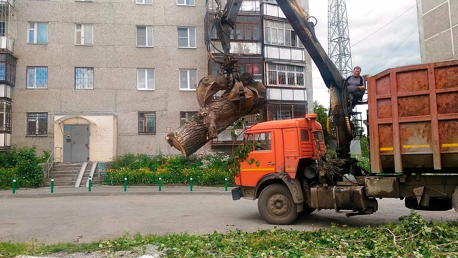 Вывоз спиленных веток и деревьев в Ульяновске от ПроМусор: порубочные остатки, утилизация, цена от 2983 руб