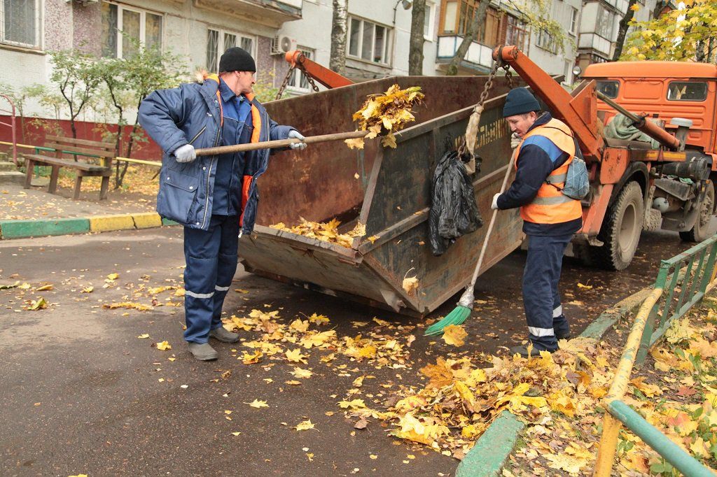 Вывоз опавшей листвы и растительного мусора в Ульяновске от ПроМусор – цена от 4628 руб., быстрая уборка и утилизация